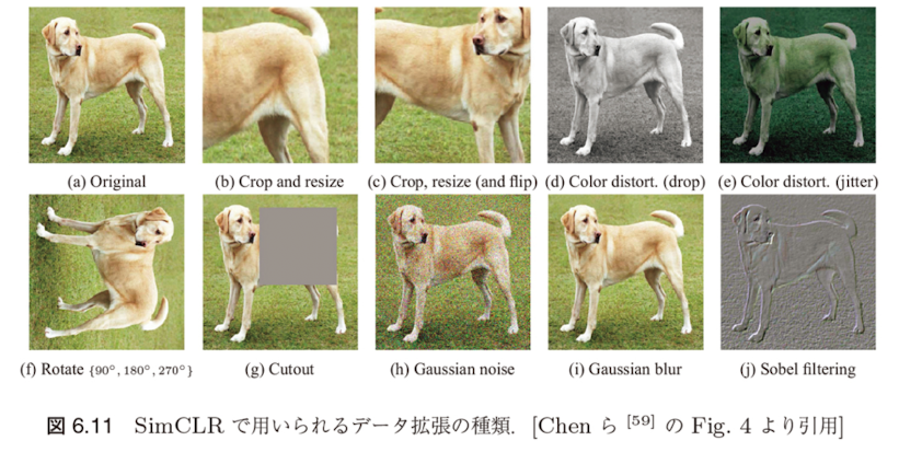図6.11 SimCLR で用いられるデータ拡張の例